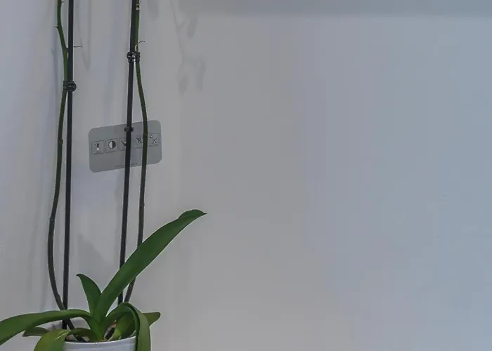 Shape-meander Apartman *