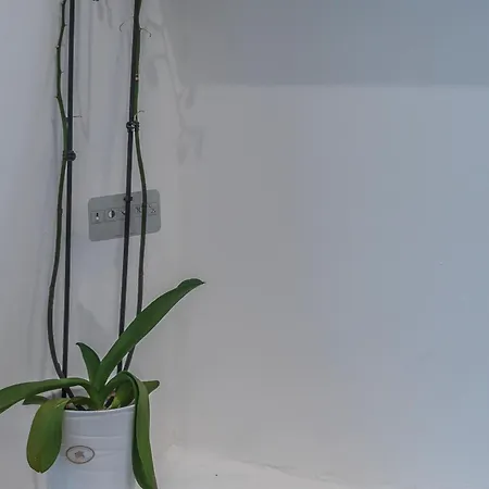 Shape-meander Apartment *